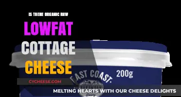 Exploring Organic Raw Lowfat Cottage Cheese: Availability and Benefits