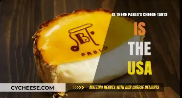 Pablo's Cheese Tarts: Are They Available in the USA?
