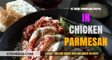 Chicken Parmesan: Parmesan Cheese or Not?