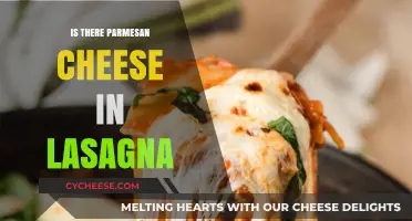 Lasagna's Parmesan Cheese: Should You Include It?