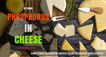Does Cheese Contain Phosphorus? Uncovering the Nutritional Facts