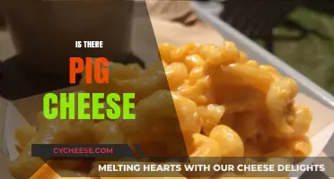 Exploring the Myth: Does Pig Cheese Exist in Reality?