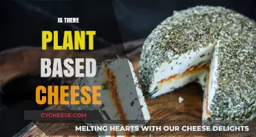 Exploring Dairy-Free Options: Is There Plant-Based Cheese Available?