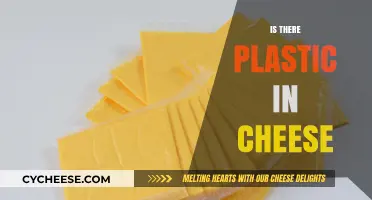 Is There Plastic in Cheese? Uncovering the Truth Behind the Rumors