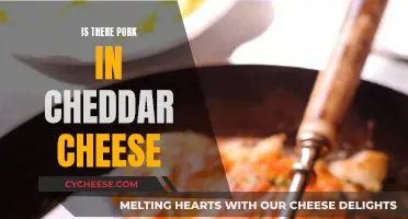 Uncovering the Truth: Pork in Cheddar Cheese