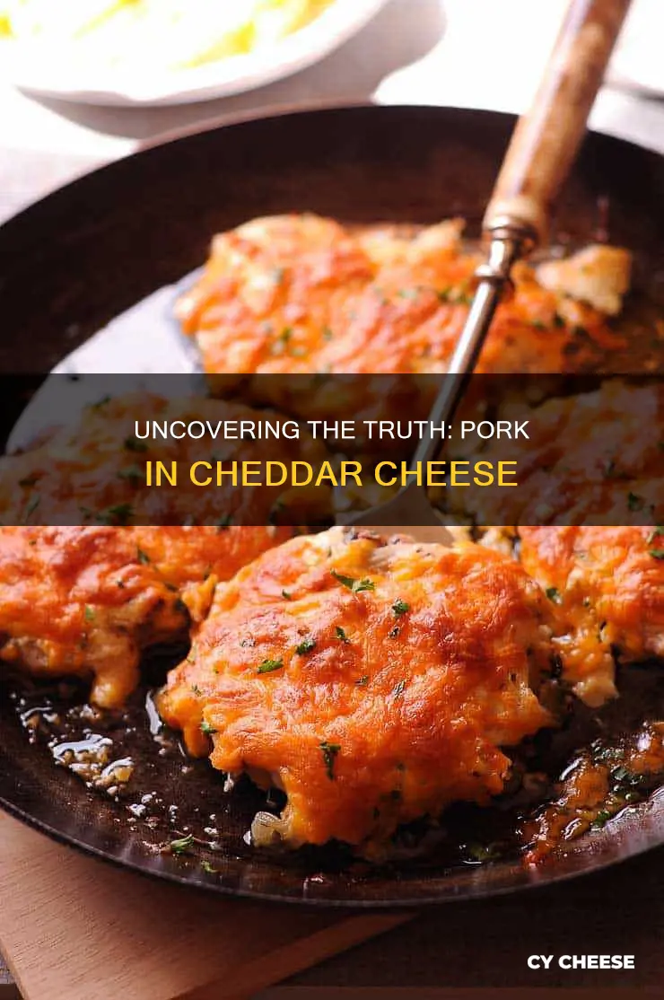 is there pork in cheddar cheese