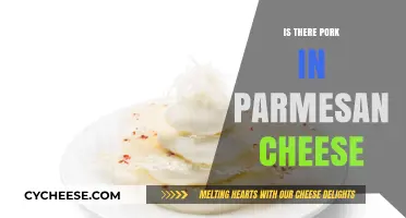 Is Parmesan Cheese Safe for Muslims and Jews?