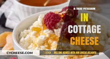 Cottage Cheese and Potassium: Uncovering Nutrient Content in Your Dairy