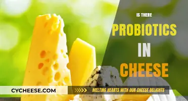 Cheese and Gut Health: Uncovering Probiotics in Your Favorite Dairy