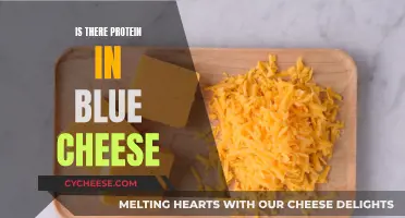 Blue Cheese: A Protein-Rich Superfood?