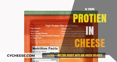 Does Cheese Contain Protein? Uncovering the Nutritional Facts