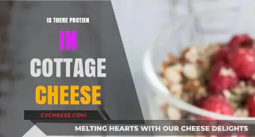 Cottage Cheese Protein Power: Unveiling Its Nutritional Benefits and Facts