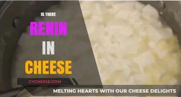 Exploring Renin in Cheese: Facts, Myths, and Culinary Uses