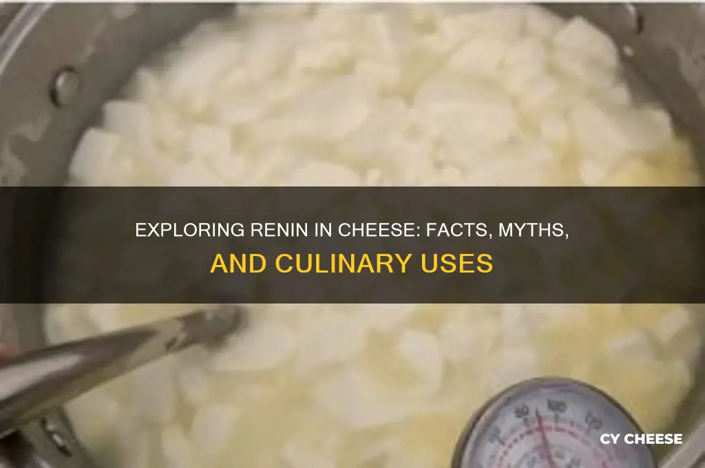 is there renin in cheese