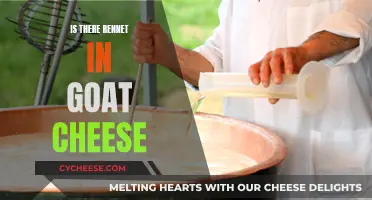 Unveiling the Mystery: Does Goat Cheese Contain Rennet?