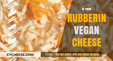 Is Vegan Cheese Rubber-Free? Exploring Ingredients and Texture Truths
