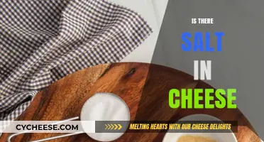 Is There Salt in Cheese? Uncovering the Truth About Cheese Ingredients