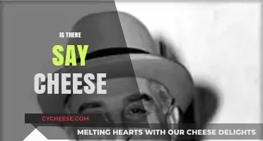 Say Cheese: Uncovering the Origins and Science Behind the Classic Phrase