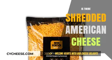 Shredded American Cheese: Fact or Fiction? Exploring the Dairy Aisle
