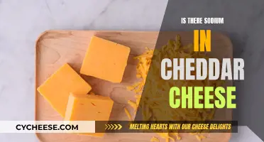 Unveiling Cheddar's Secret: Does It Contain Sodium?