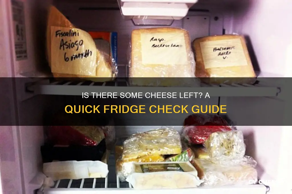 is there some cheese left