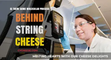 Unraveling String Cheese: Exploring the Molecular Magic Behind Its Stretch