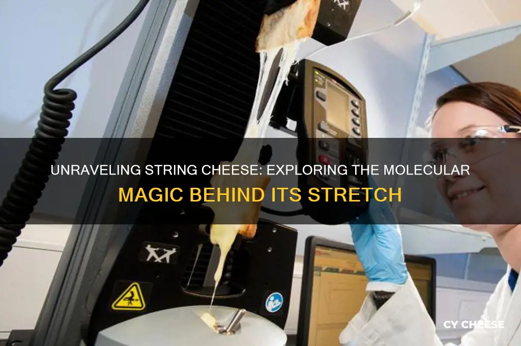 is there some molecular process behind string cheese