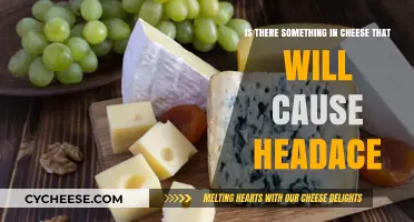 Cheese and Headaches: Uncovering the Hidden Triggers in Your Diet