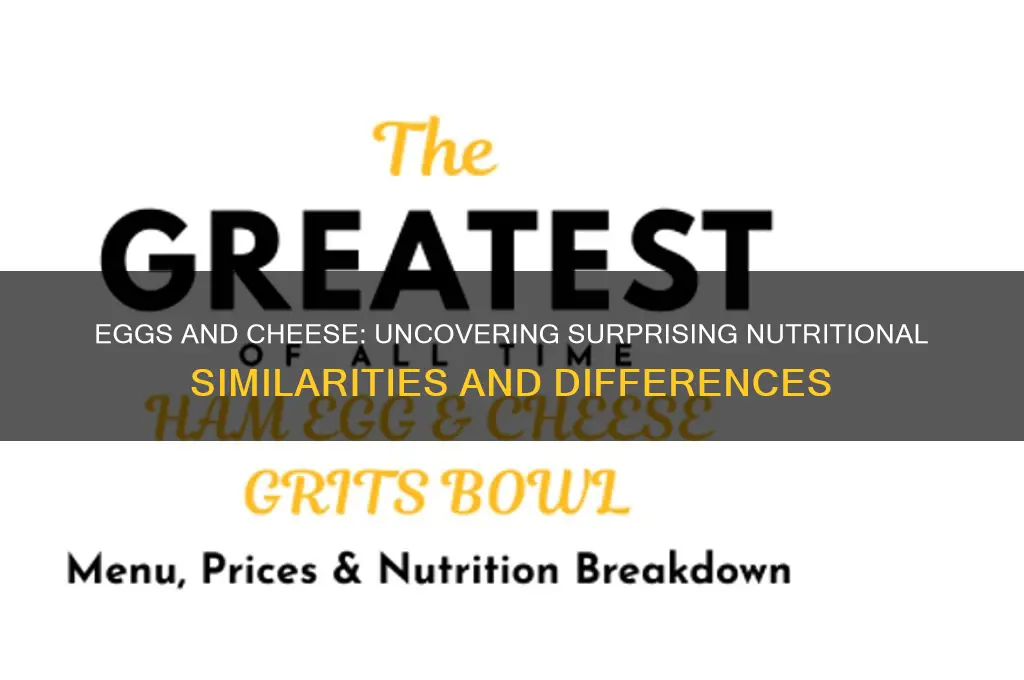 is there something similar in eggs and cheese