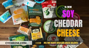 Soy Cheddar: A Vegan's Dream or a Cheater's Delight?