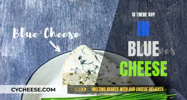 Blue Cheese and Soy: A Tasty Combination?