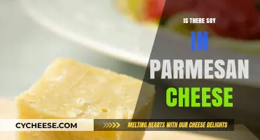 Soy in Parmesan: What You Need to Know