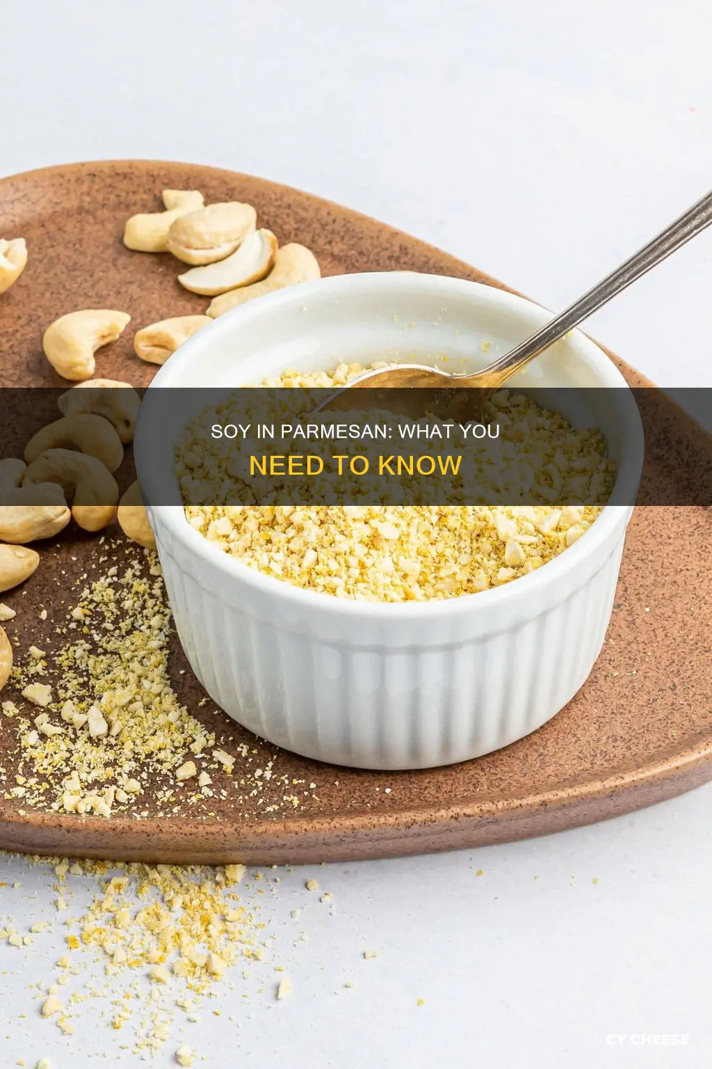 is there soy in parmesan cheese