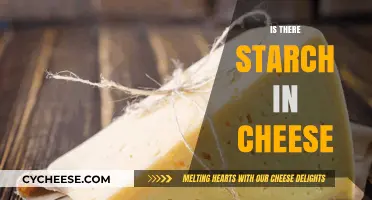 Does Cheese Contain Starch? Unraveling the Dairy Mystery