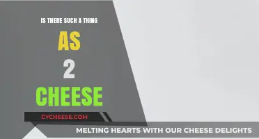 Exploring the Myth: Is There Really Only One Cheese?