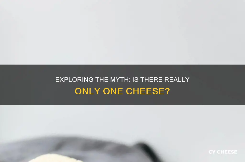 is there such a thing as 2 cheese