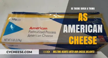 Is American Cheese Real? Unwrapping the Mystery of a Classic