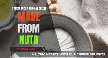 Cheese Made from Nuts: Is It Possible?