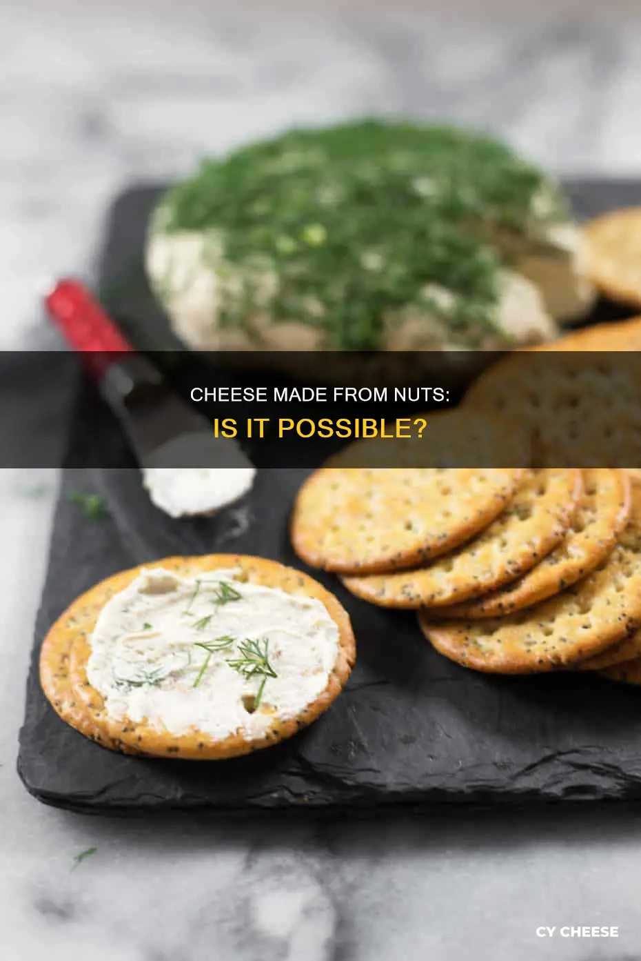 is there such a thing as cheese made from nutd