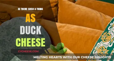 Duck Cheese: Myth or Reality? Exploring the Truth Behind the Rumor
