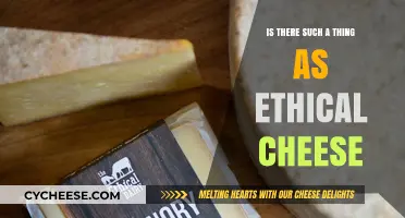 Ethical Cheese: Myth or Reality? Exploring Dairy's Moral Dilemma