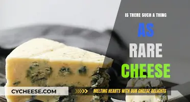 Exploring Rare Cheese Varieties: Myth or Culinary Reality?