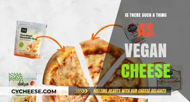 Exploring Vegan Cheese: Myth or Delicious Dairy-Free Reality?