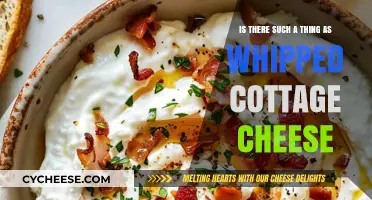 Whipped Cottage Cheese: Myth or Delicious Reality?