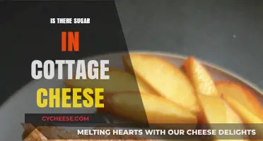 Is Cottage Cheese Sweet? Uncovering Sugar Content in Your Favorite Dairy