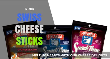Swiss Cheese Sticks: A Tasty Treat