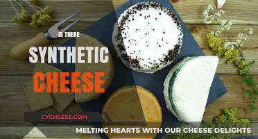 Exploring the Truth: Does Synthetic Cheese Really Exist?