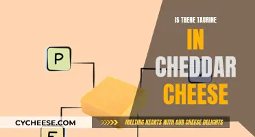 Taurine in Cheddar: Unveiling the Cheese's Secret Ingredient