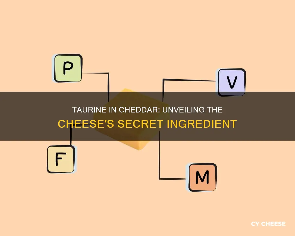 is there taurine in cheddar cheese