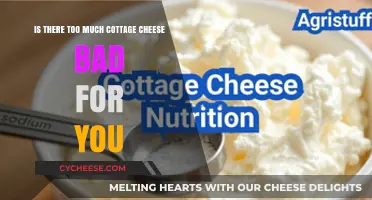 Is Eating Too Much Cottage Cheese Harmful to Your Health?